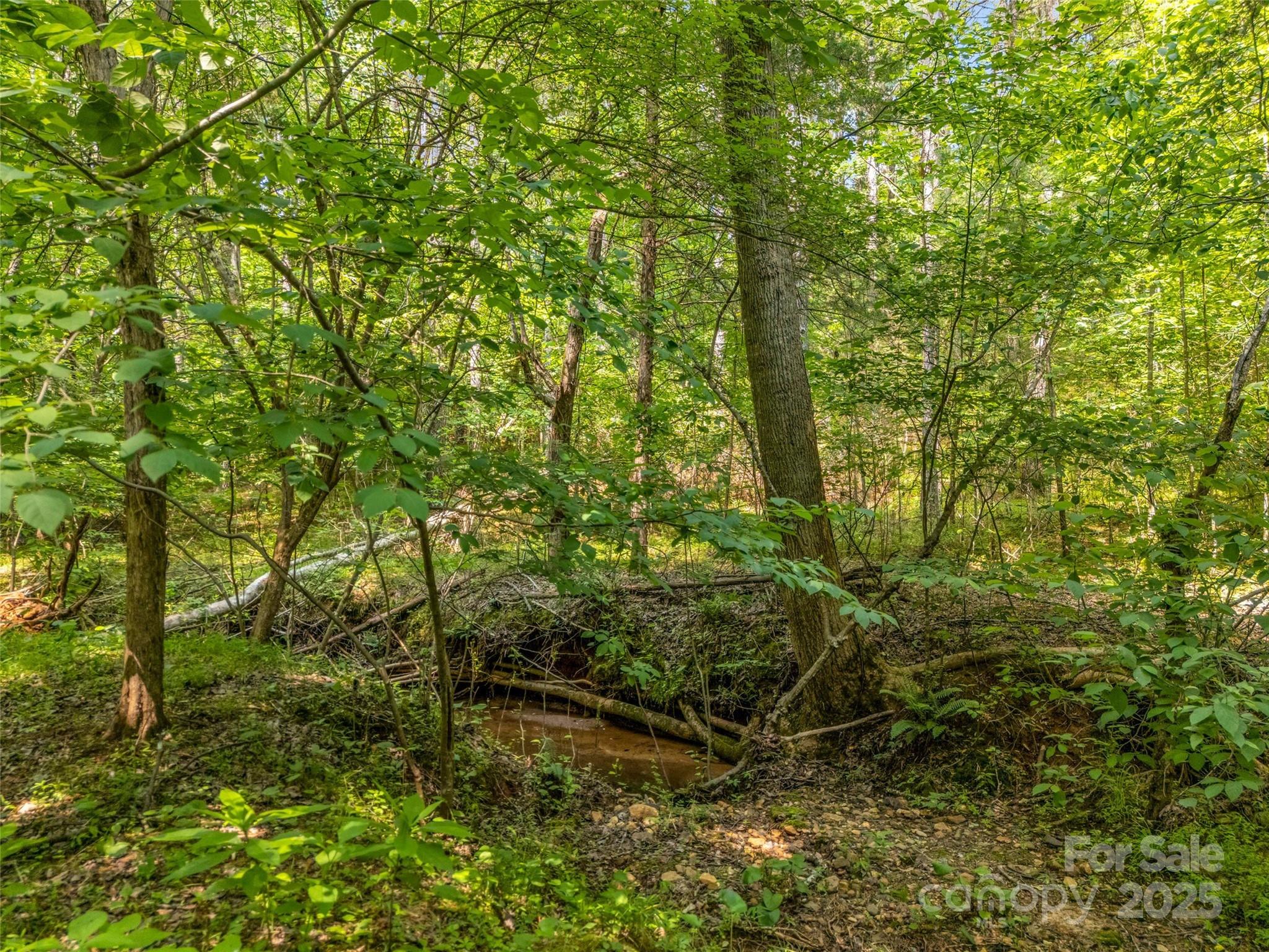 Clearwater Creek - Land