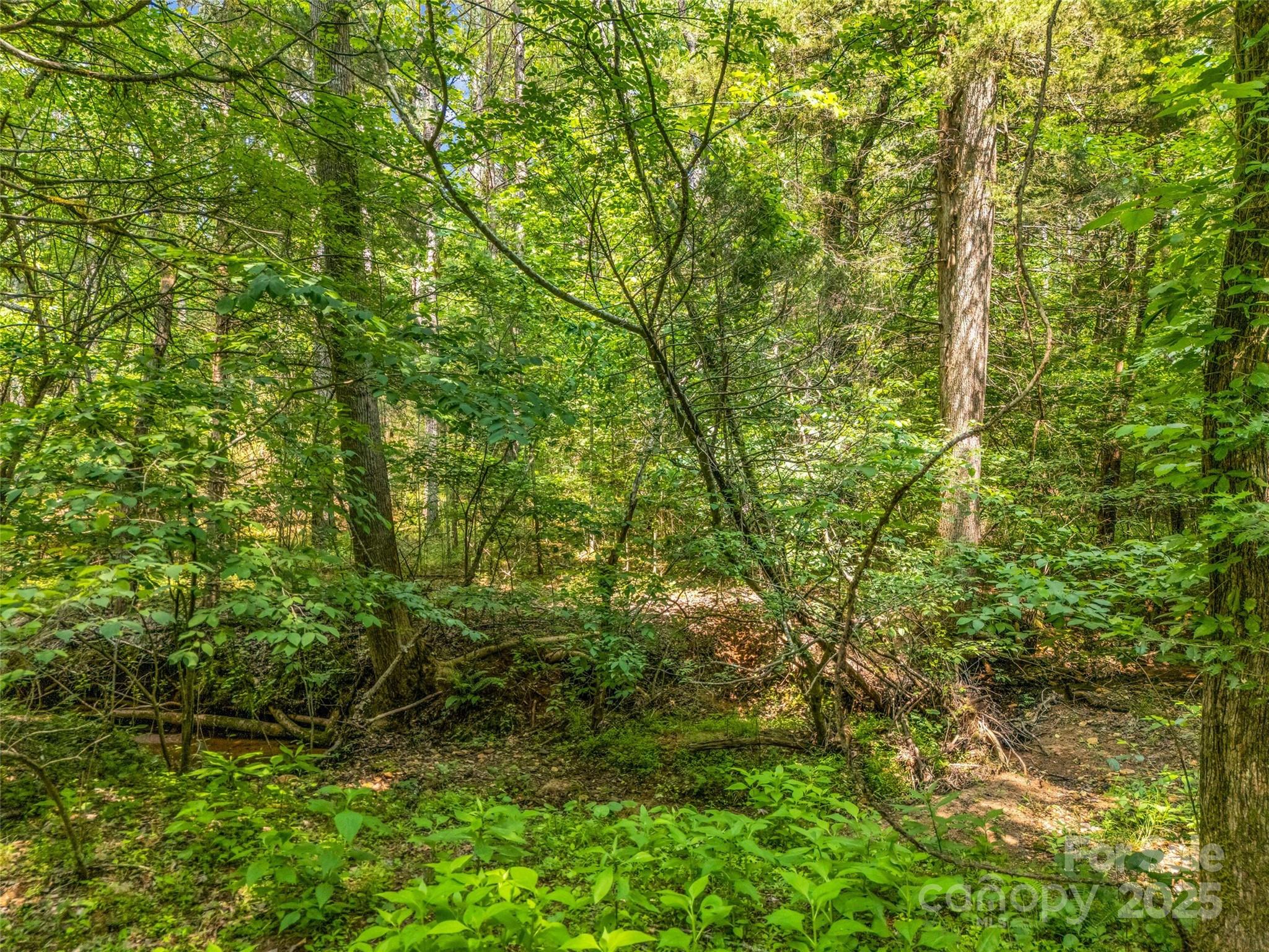 Clearwater Creek - Land