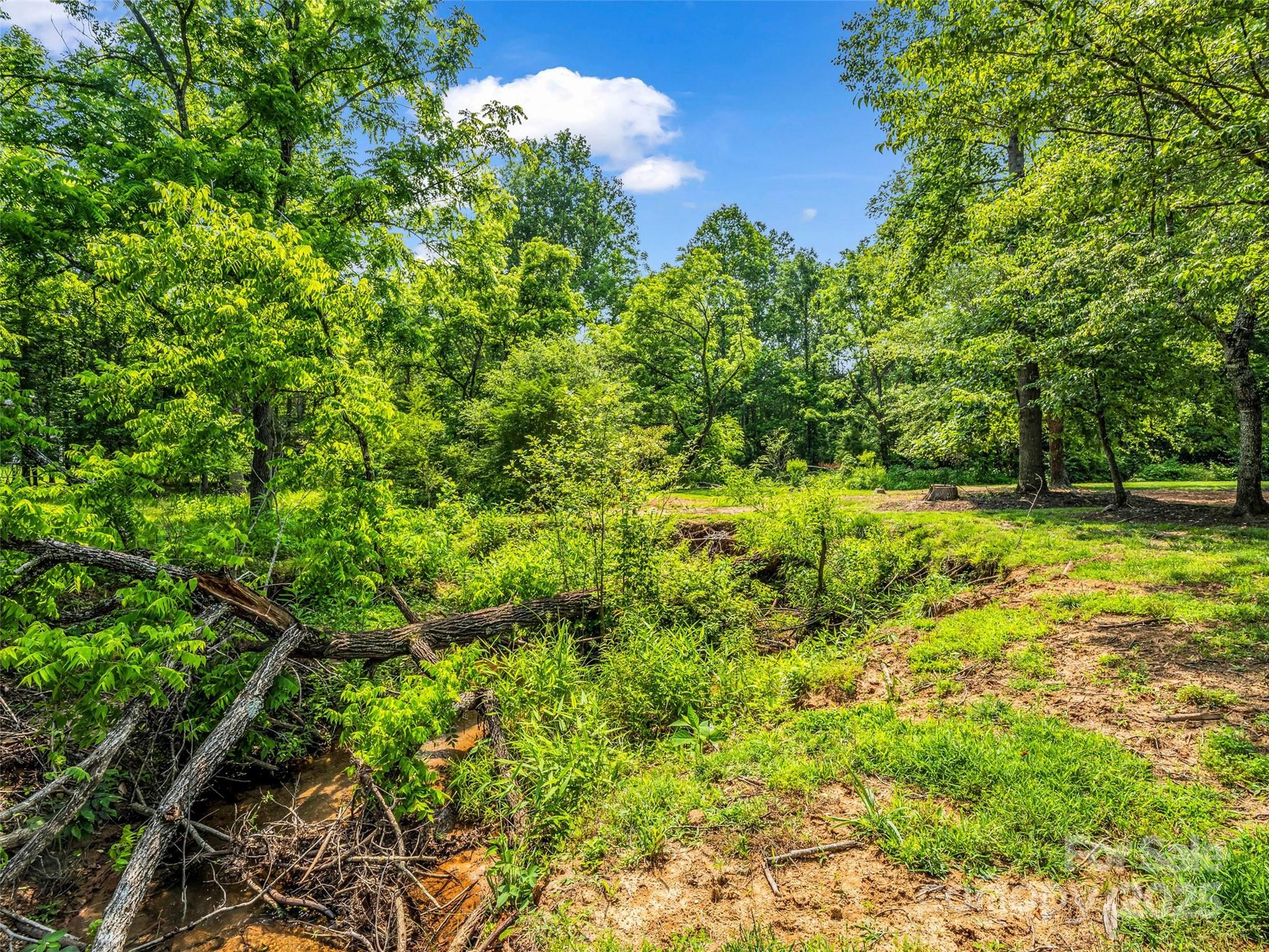 Clearwater Creek - Land