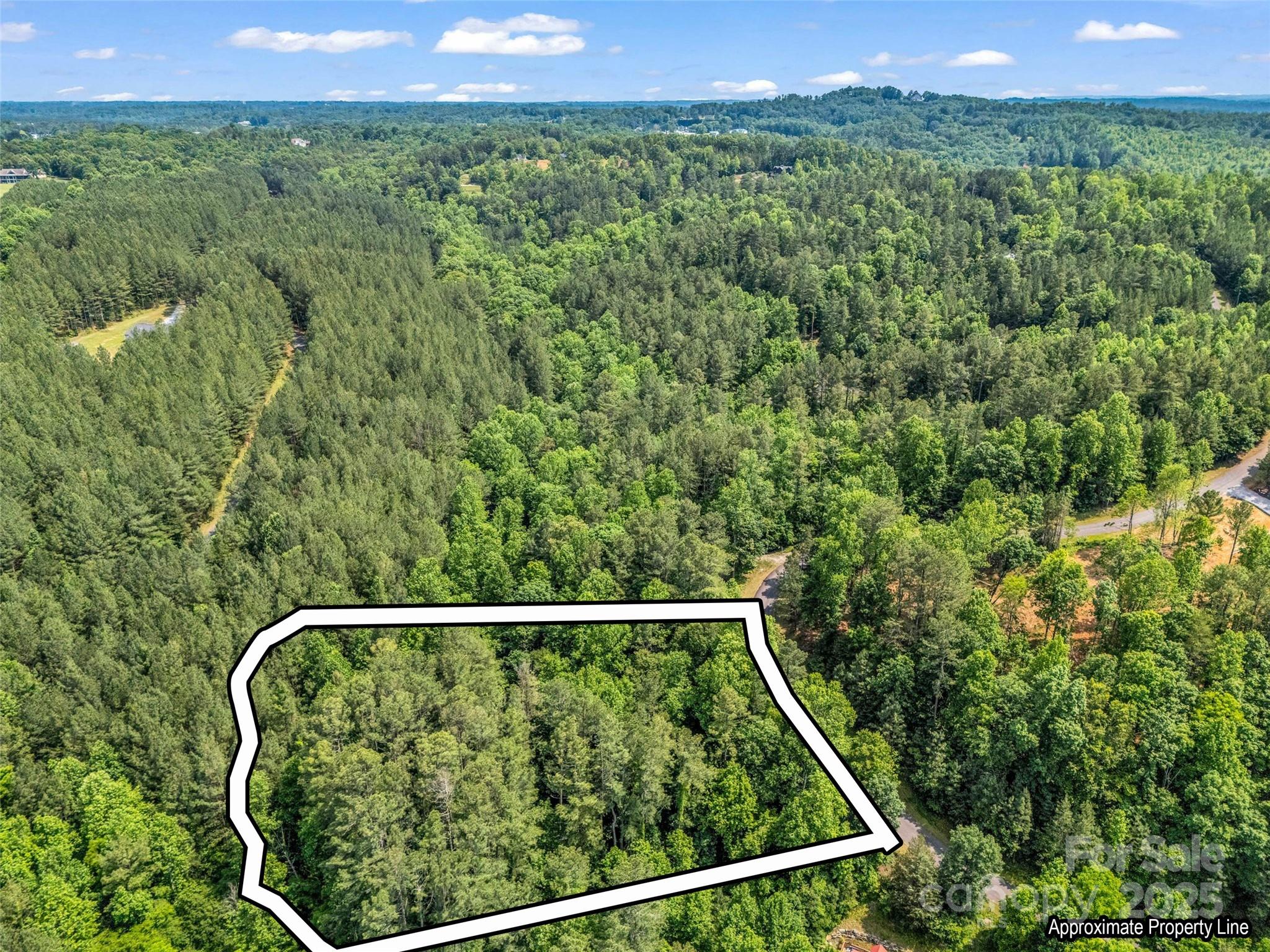 Clearwater Creek - Land