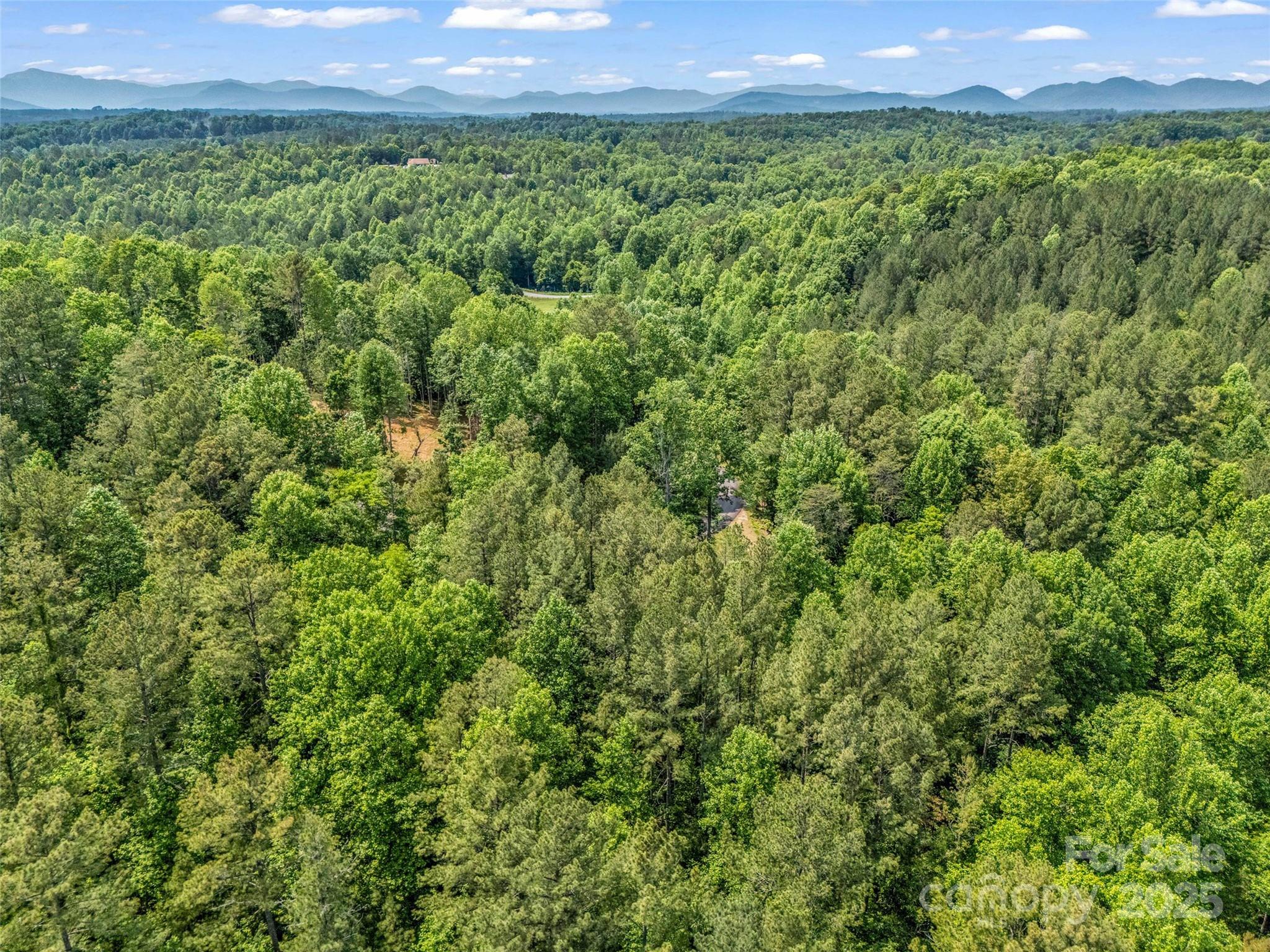 Clearwater Creek - Land