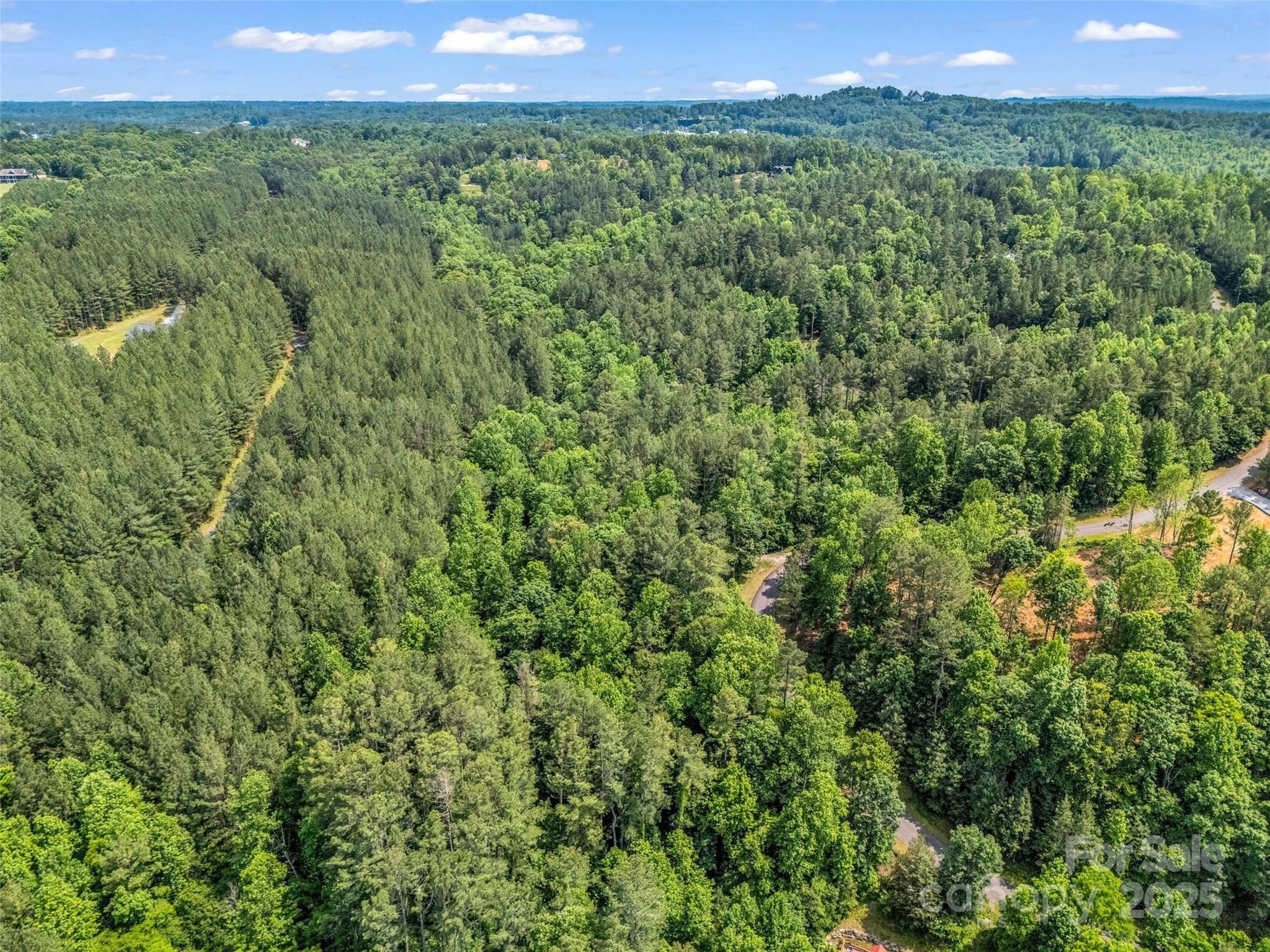 Clearwater Creek - Land