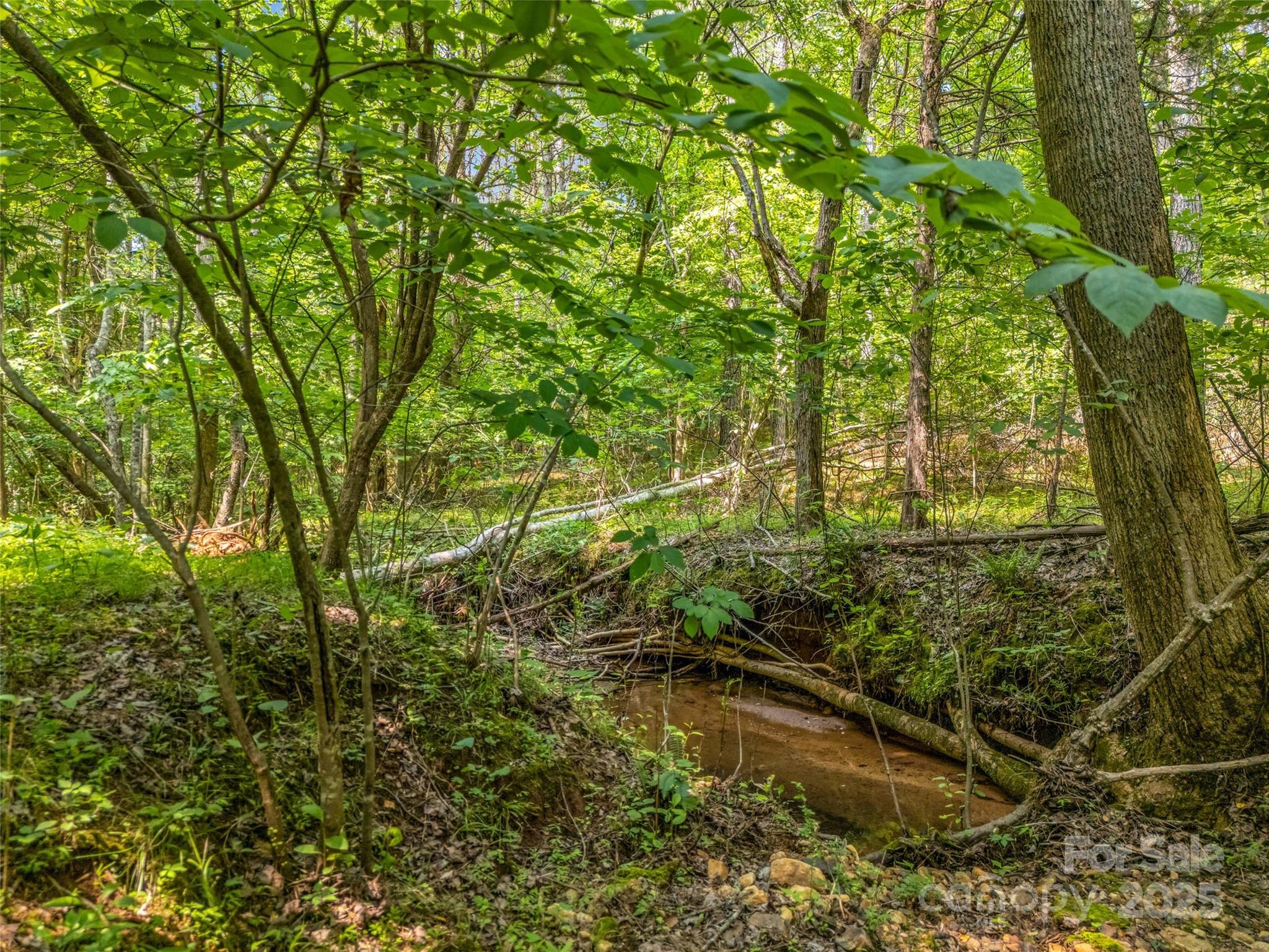 Clearwater Creek - Land