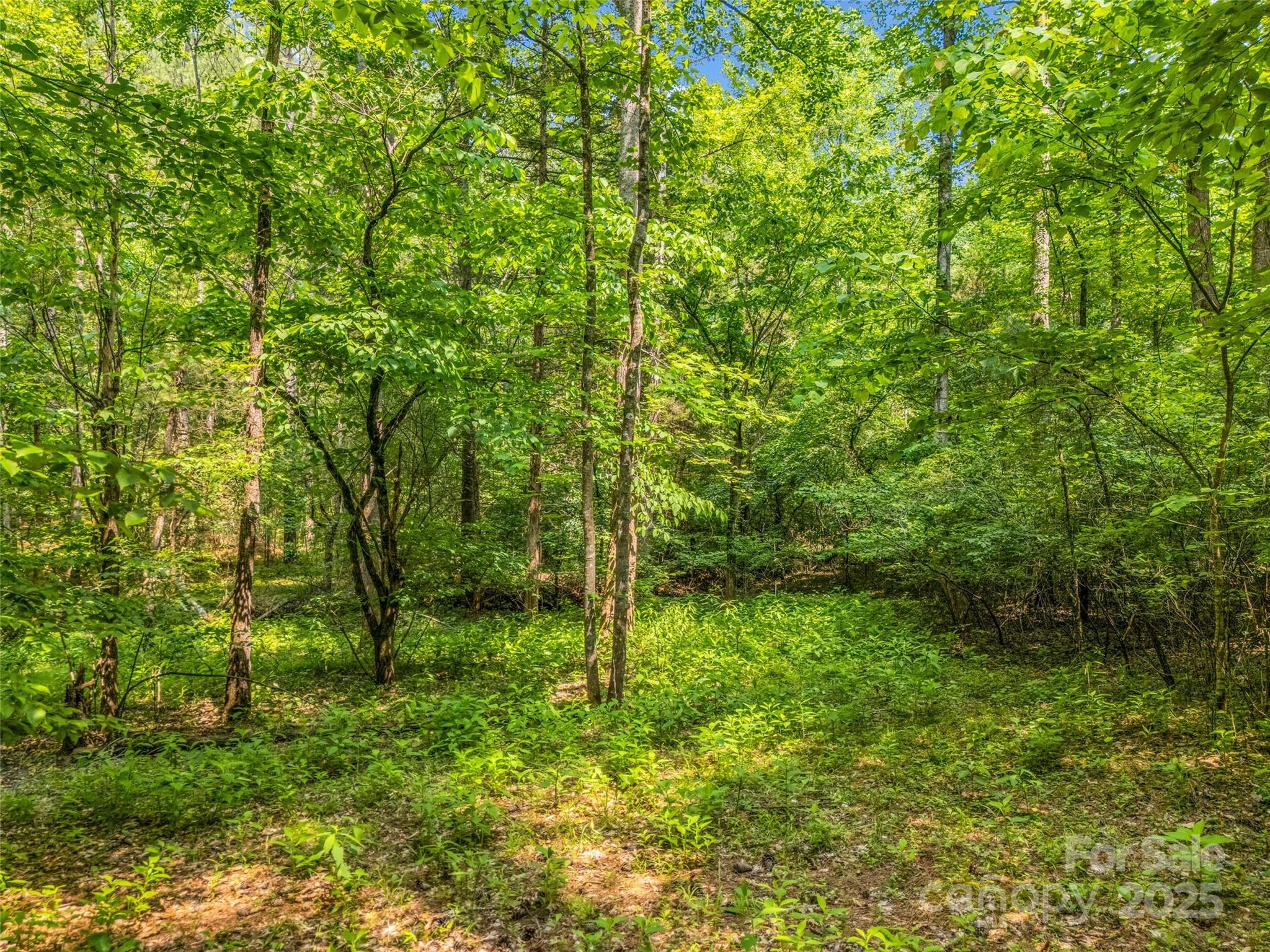 0 Creekside Circle 120