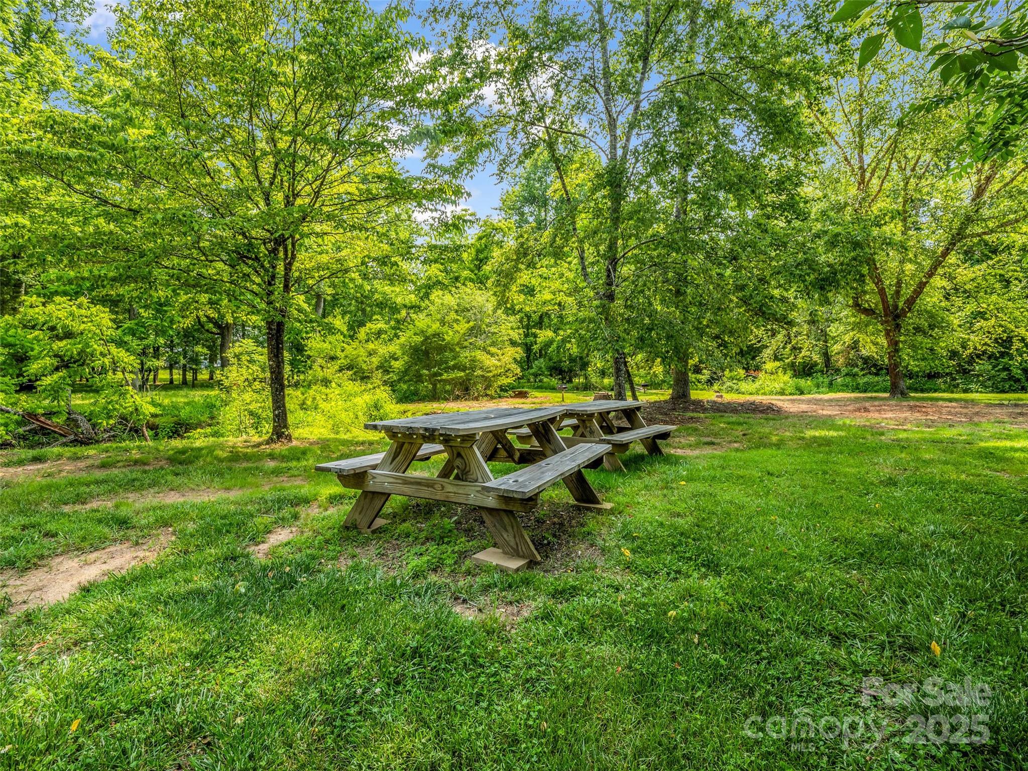 Clearwater Creek - Land