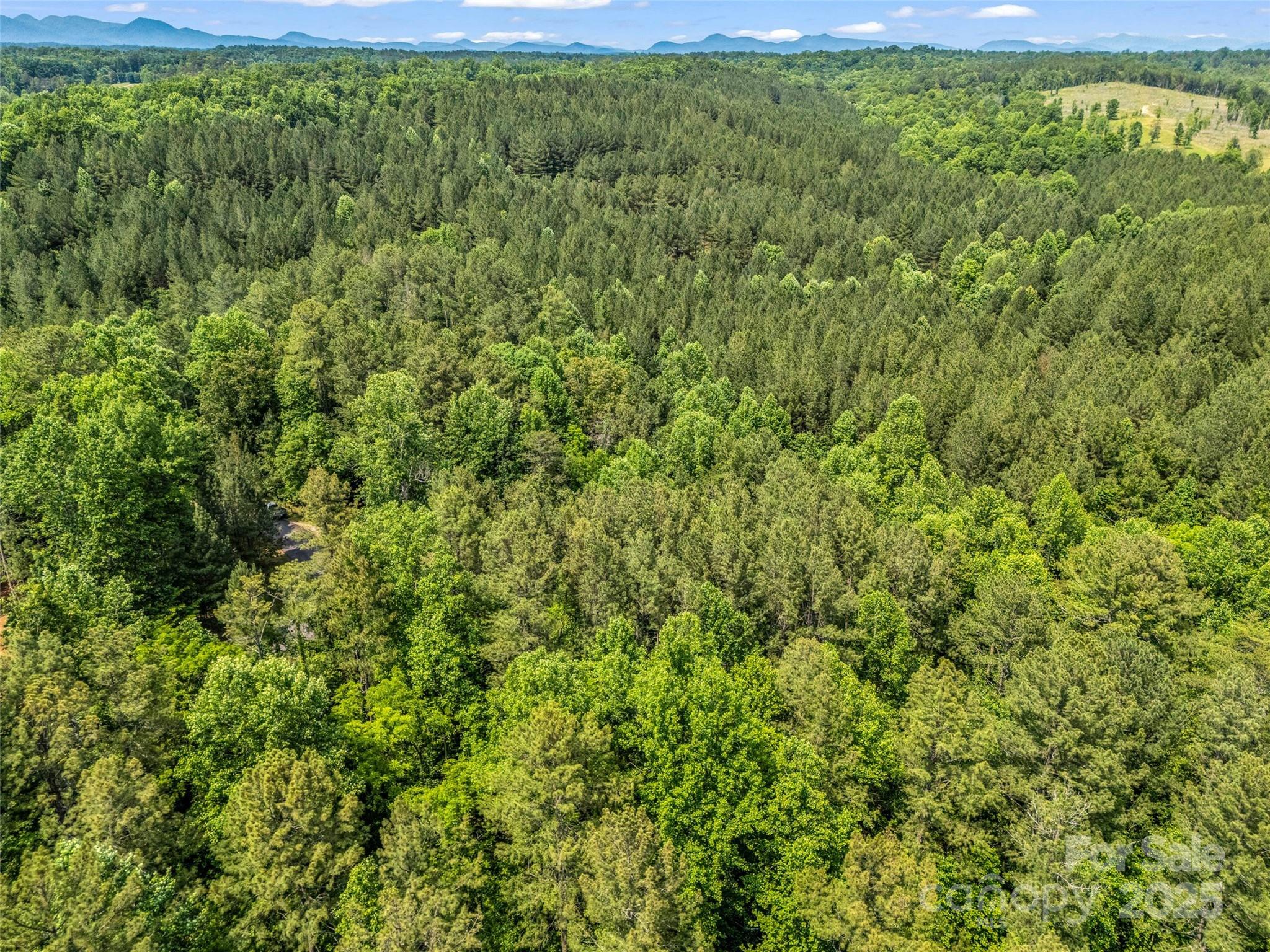 Clearwater Creek - Land