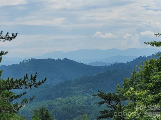 OCONEE DR, MARION, NC 28752 - Image ad299fb8e0eb0ca0c86856bacd785afe/3673532593
