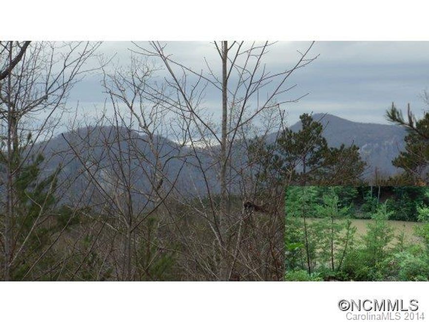 VIEWS & WATER! IMPROVED PROPERTY WITH MOUNTAIN VIEWS & A POND! 3.45 acres with driveway already in place, which leads to a large, level knoll,with a cleared house site facing both Rumbling Bald & Chimney Rock Mountain Ranges. Follow the walking path, just below the house site, through the mountain laurel, to the tranquil pond. Large Oak & Maple Trees for shade. Paved roads, underground electric, common area, and lake access. A must see!