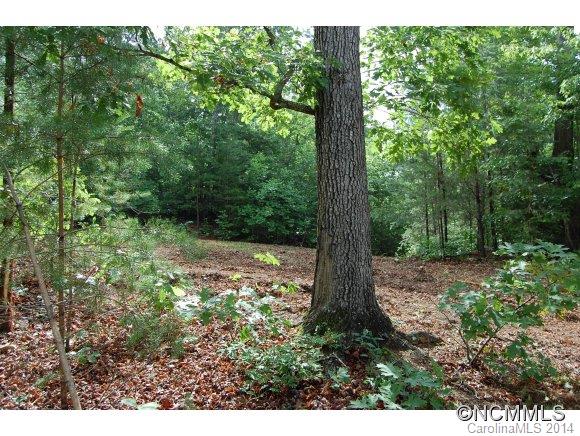 Laurel Lakes - Land