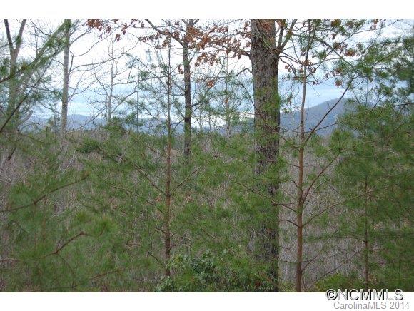 Laurel Lakes - Land