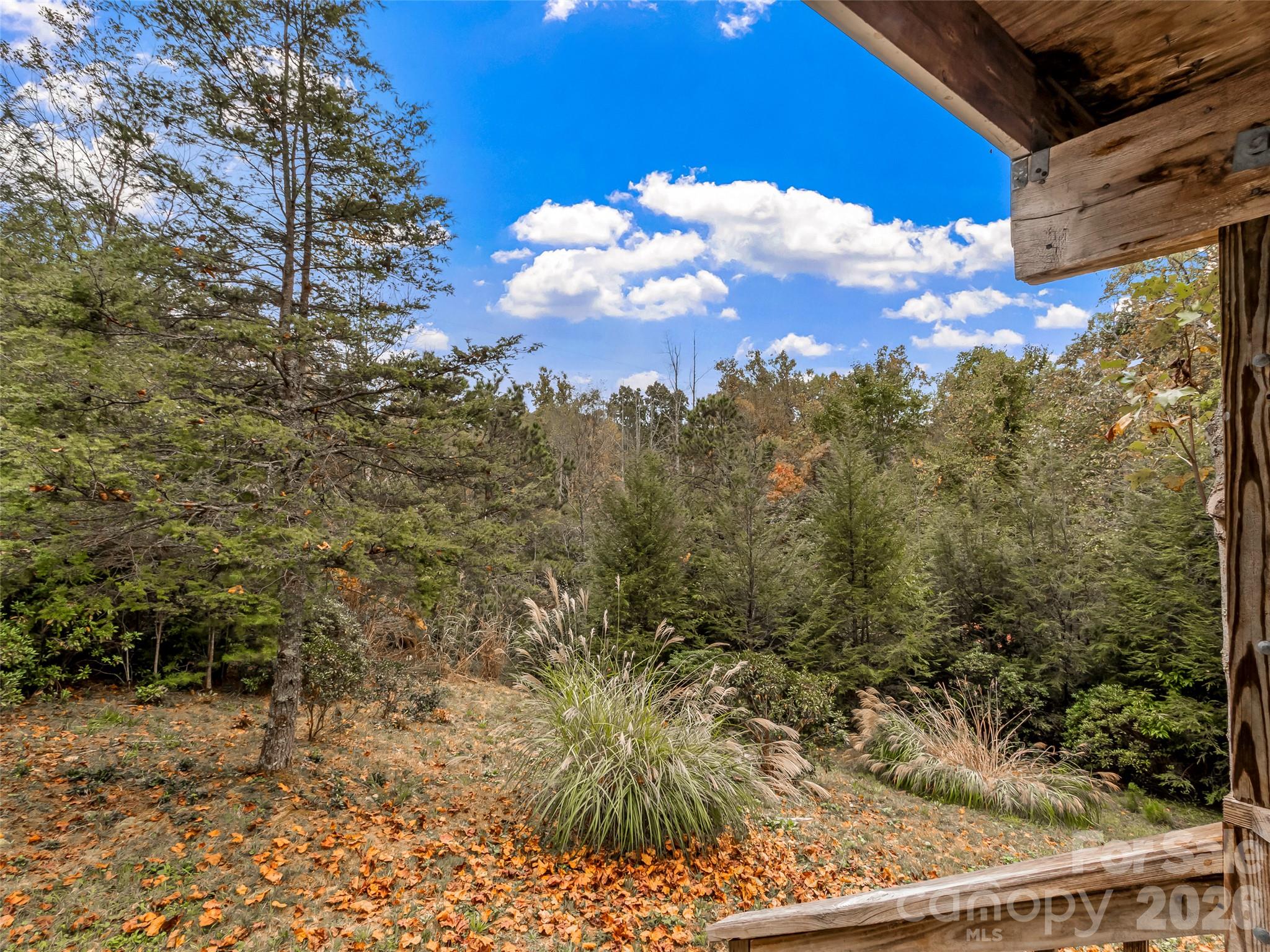 50 Wild Iris Drive
