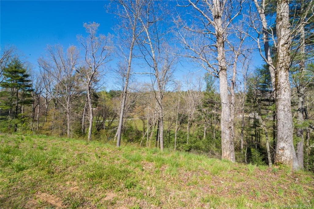 Robinson Creek - Land