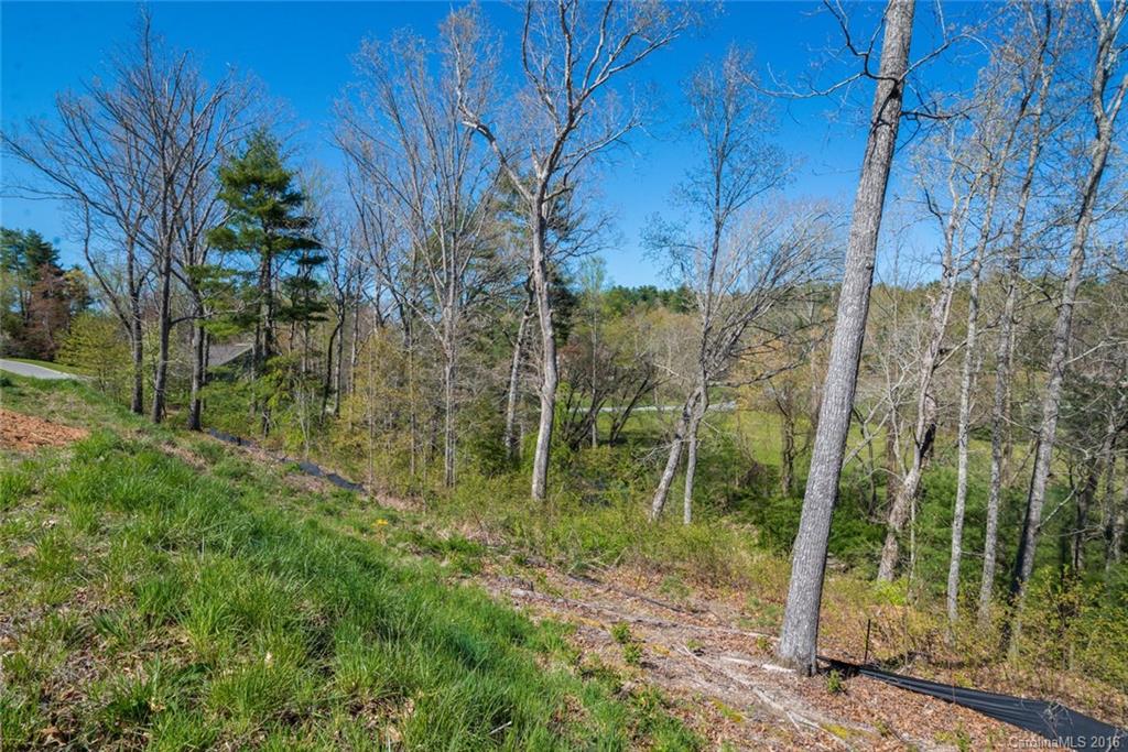 Robinson Creek - Land