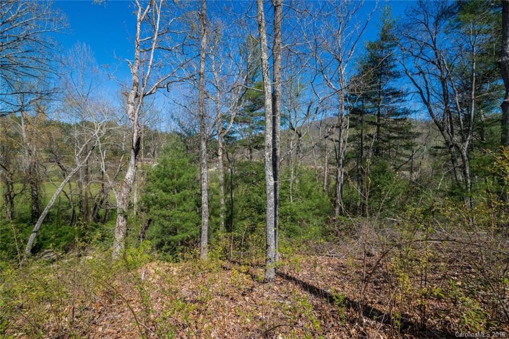 Robinson Creek - Land