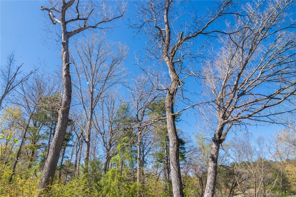 Robinson Creek - Land