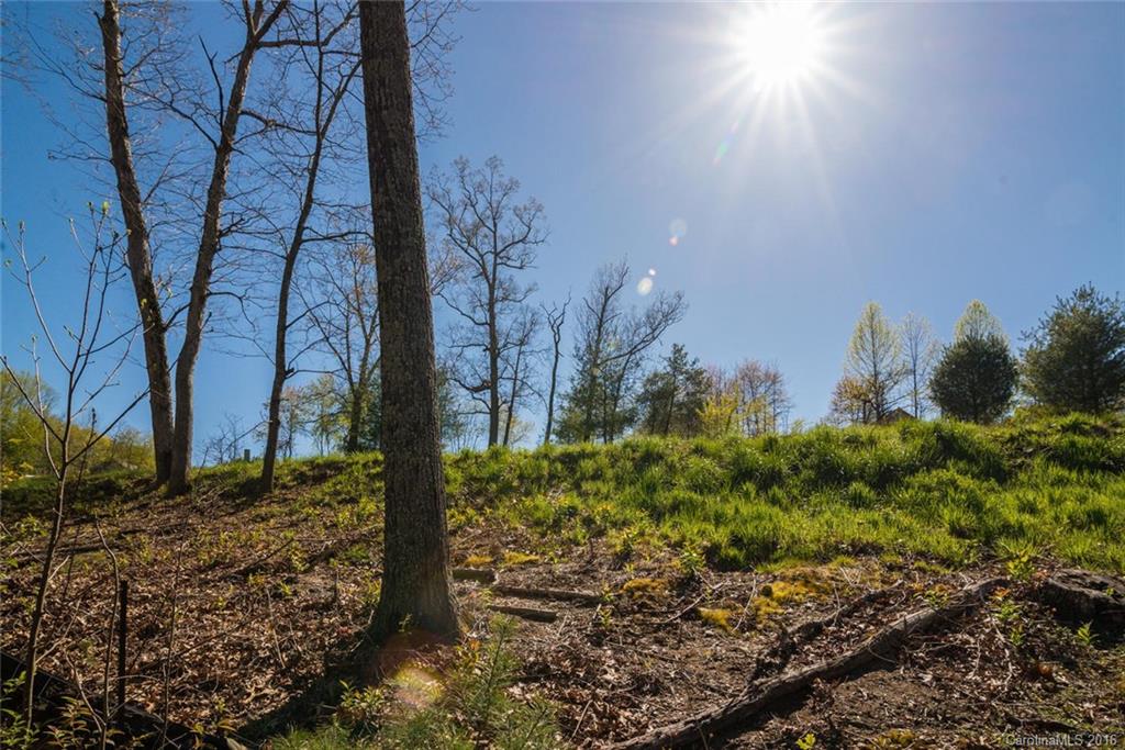 Robinson Creek - Land