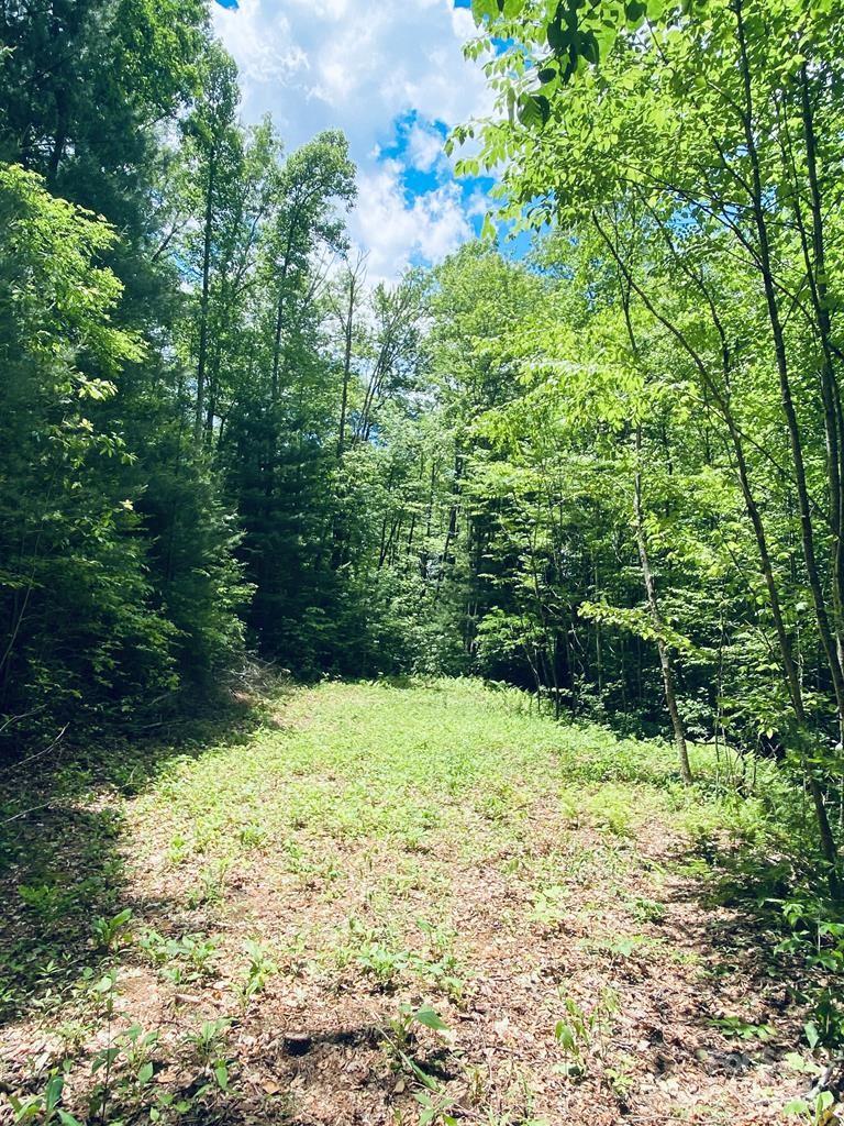 Garnet Ridge Preserve - Land