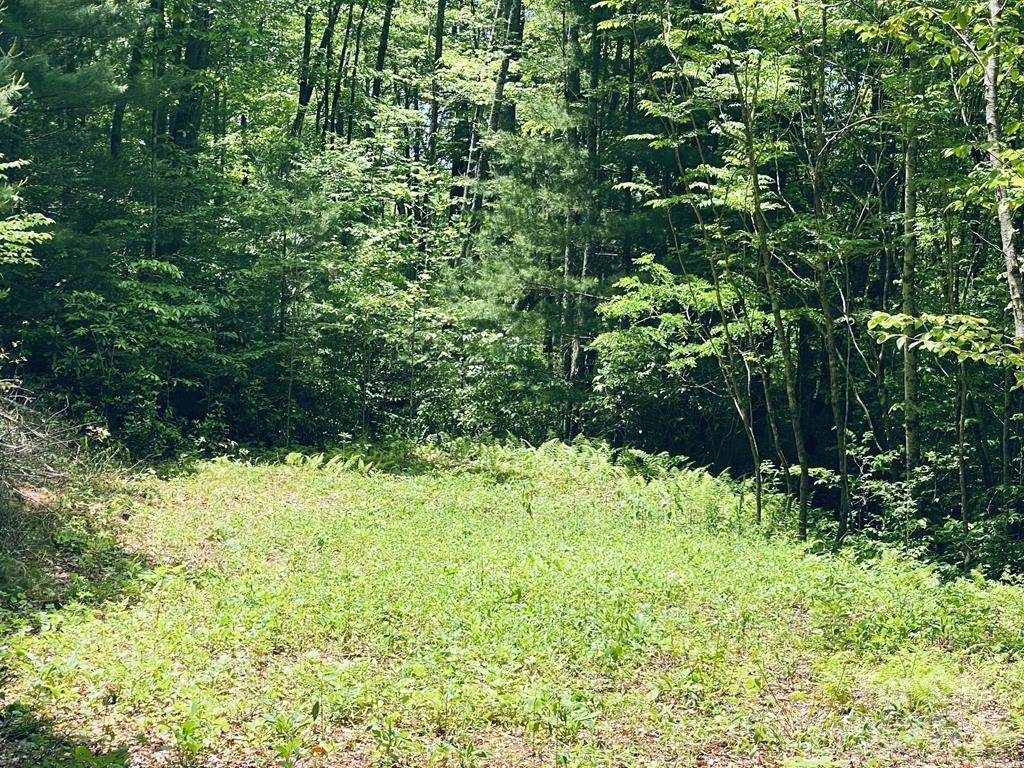 Garnet Ridge Preserve - Land