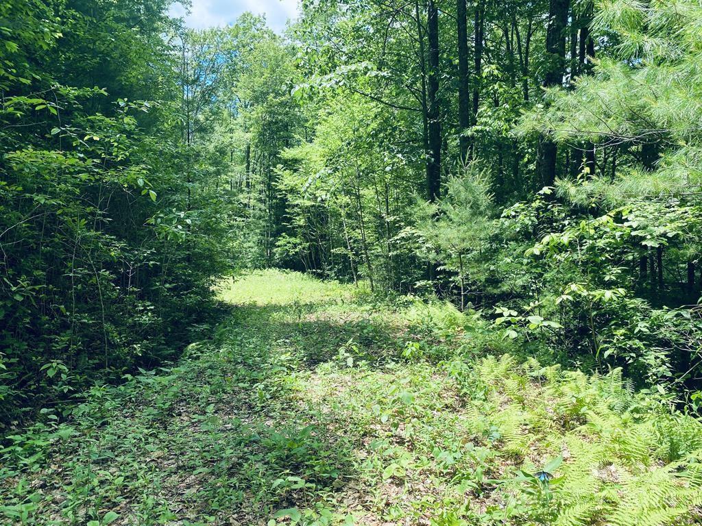 Garnet Ridge Preserve - Land