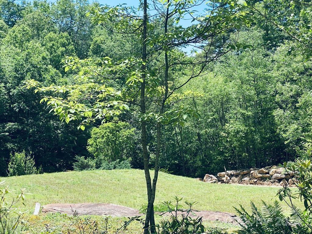 Garnet Ridge Preserve - Land