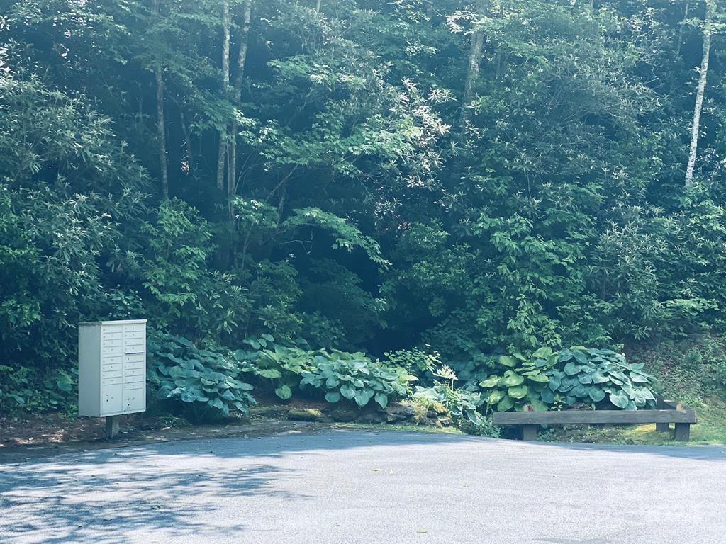 Garnet Ridge Preserve - Land