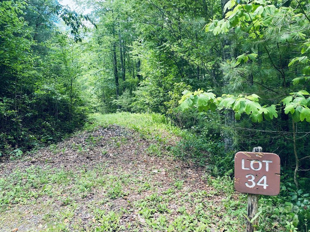 Garnet Ridge Preserve - Land