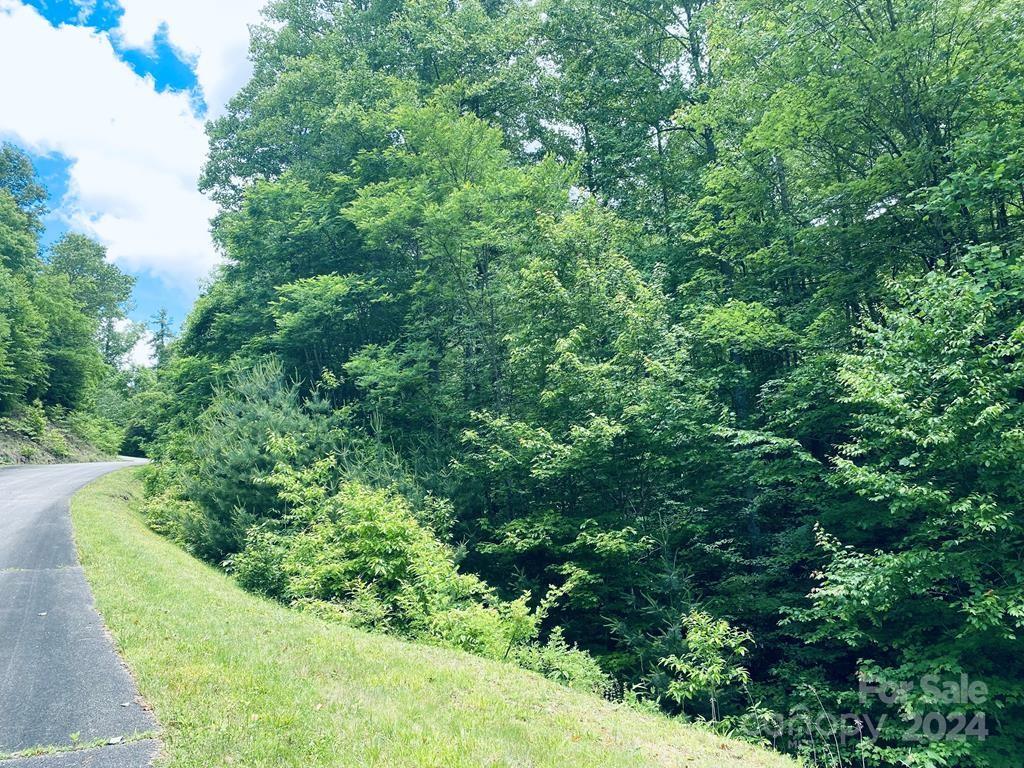 Garnet Ridge Preserve - Land