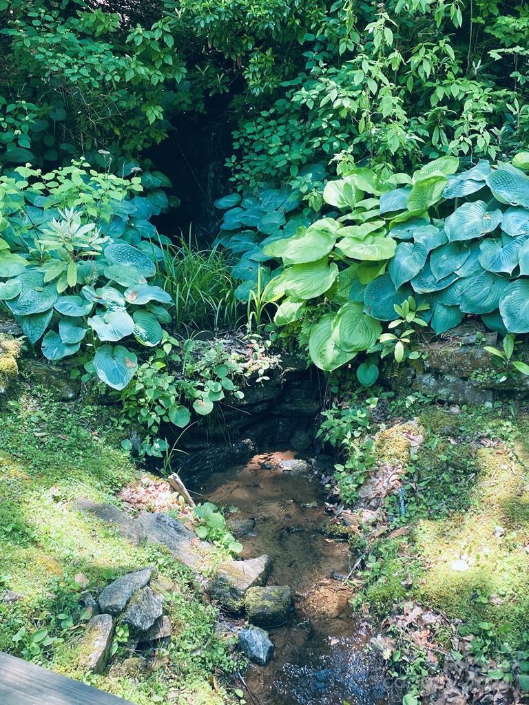 Garnet Ridge Preserve - Land