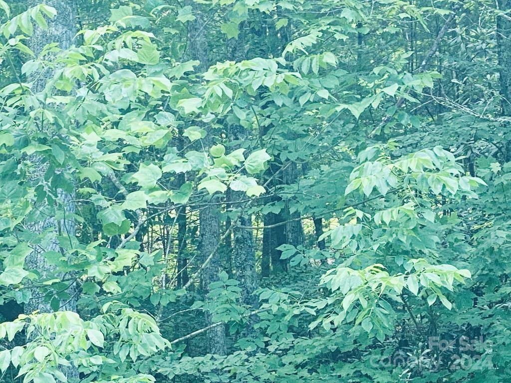 Garnet Ridge Preserve - Land