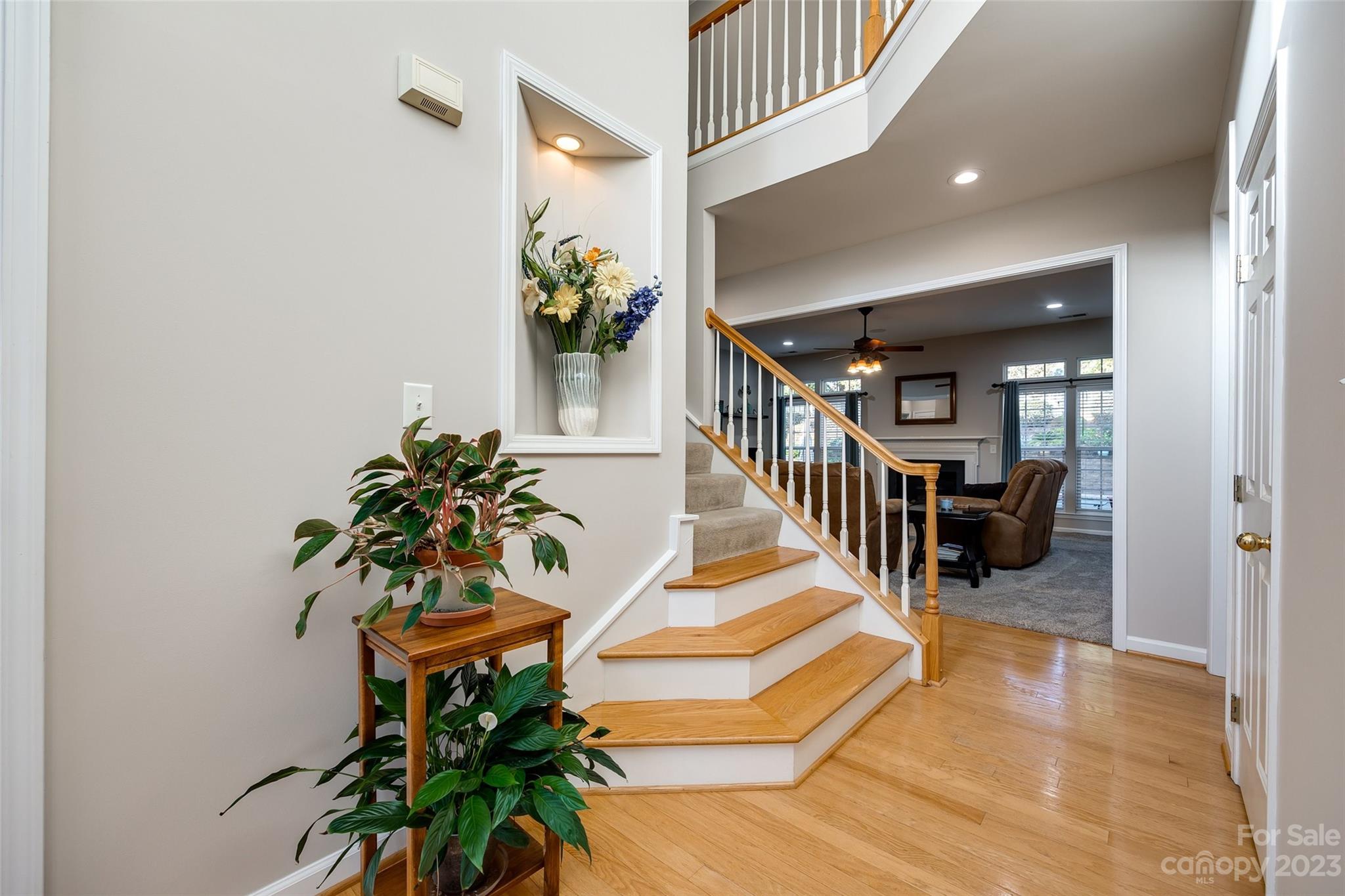 Chestnut - Residential