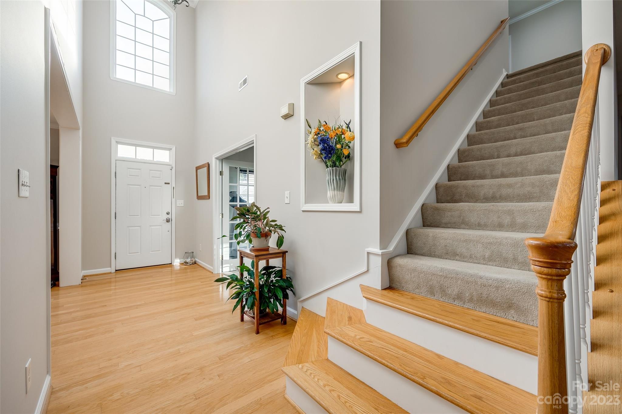 Chestnut - Residential