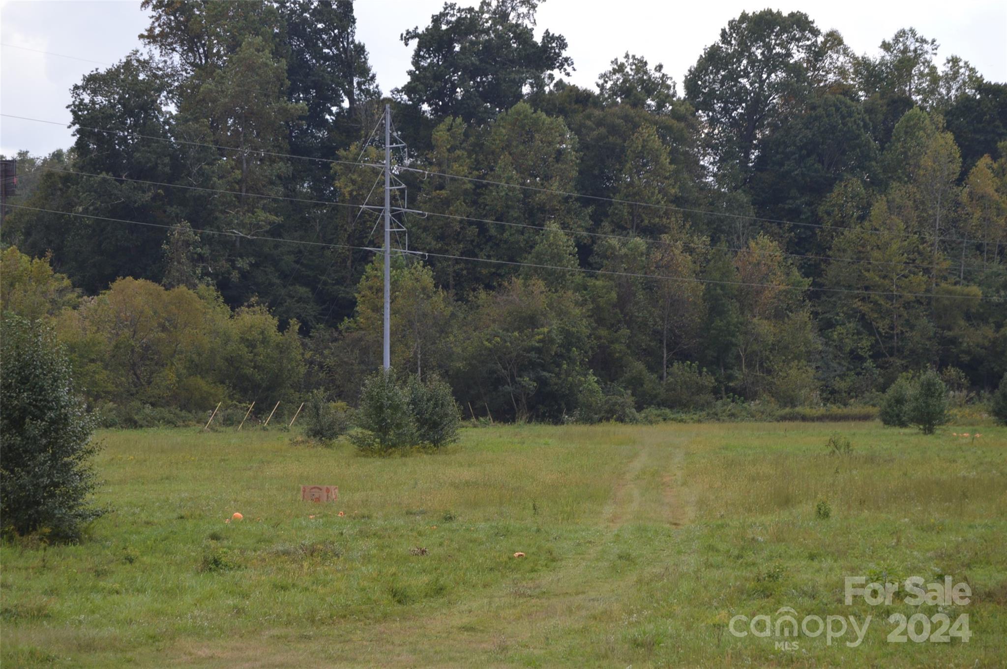 0000 Wilkesboro Highway