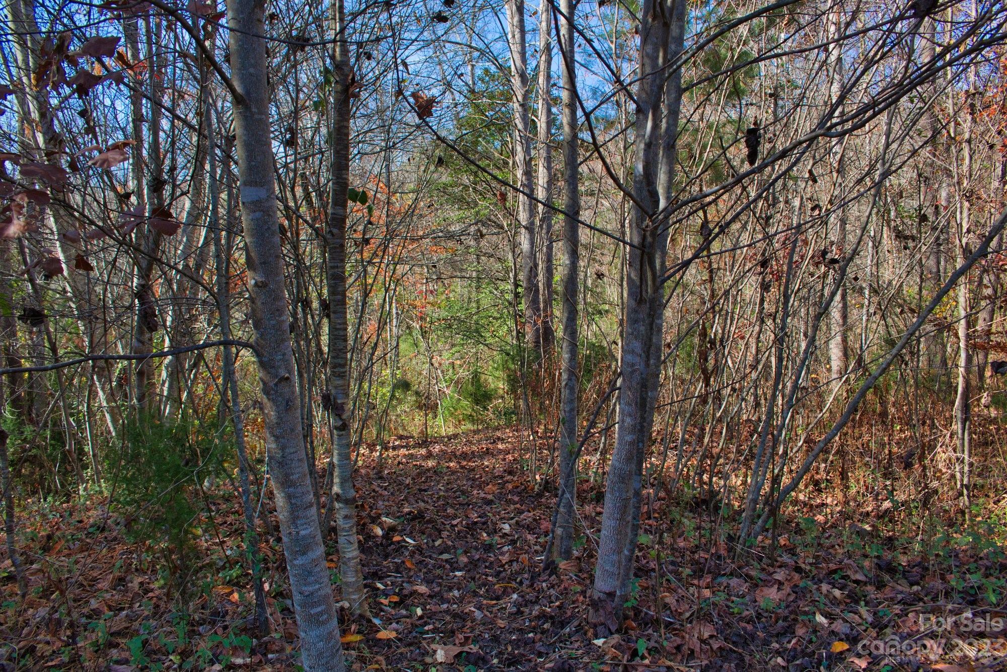 Hearthstone Ridge - Land