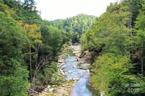 999 Hardison Falls Trail Bat Cave NC 28710