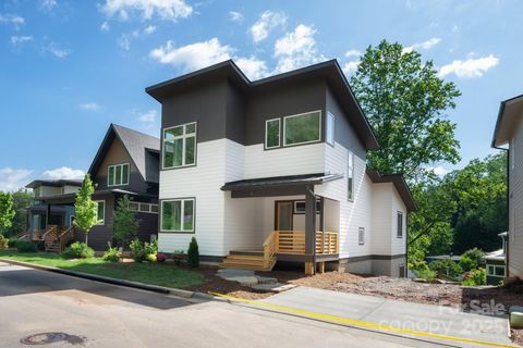 9 Orrinel Way Asheville NC 28806