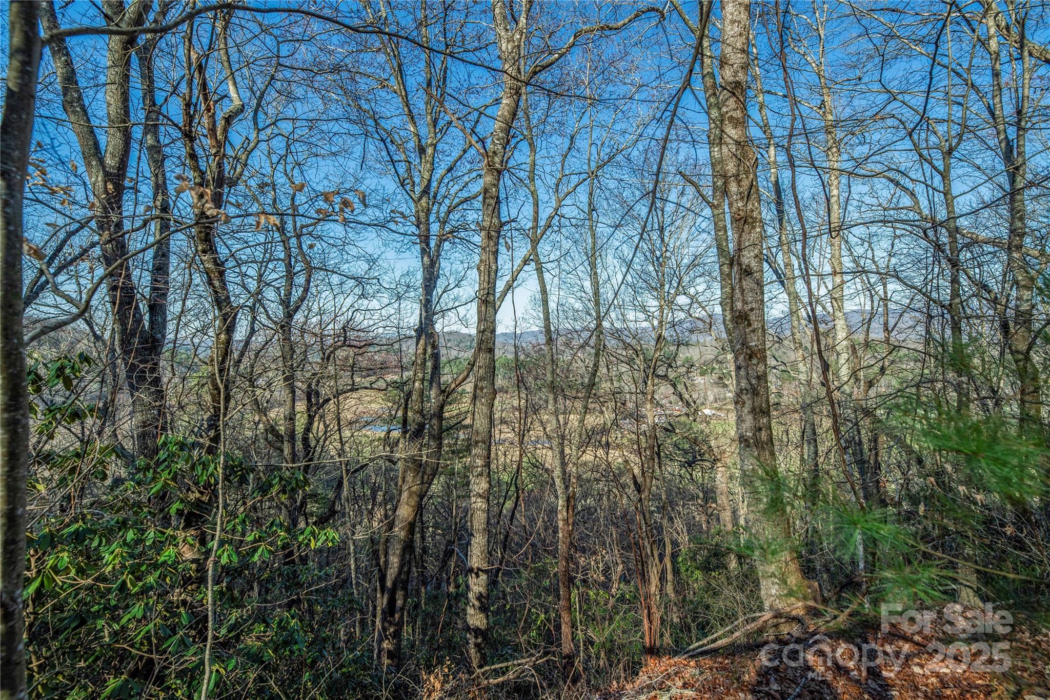 TBD Three Mile Knob Road L1