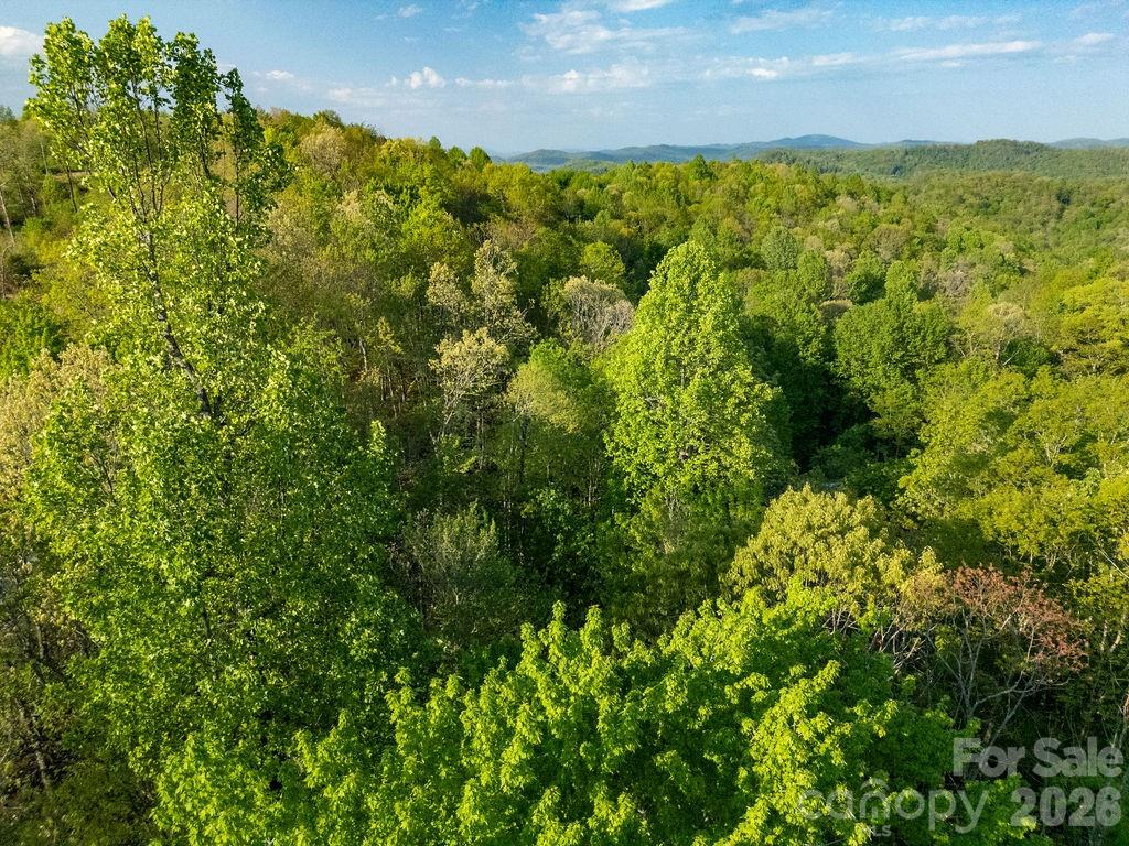 Eastatoe Gap - Land