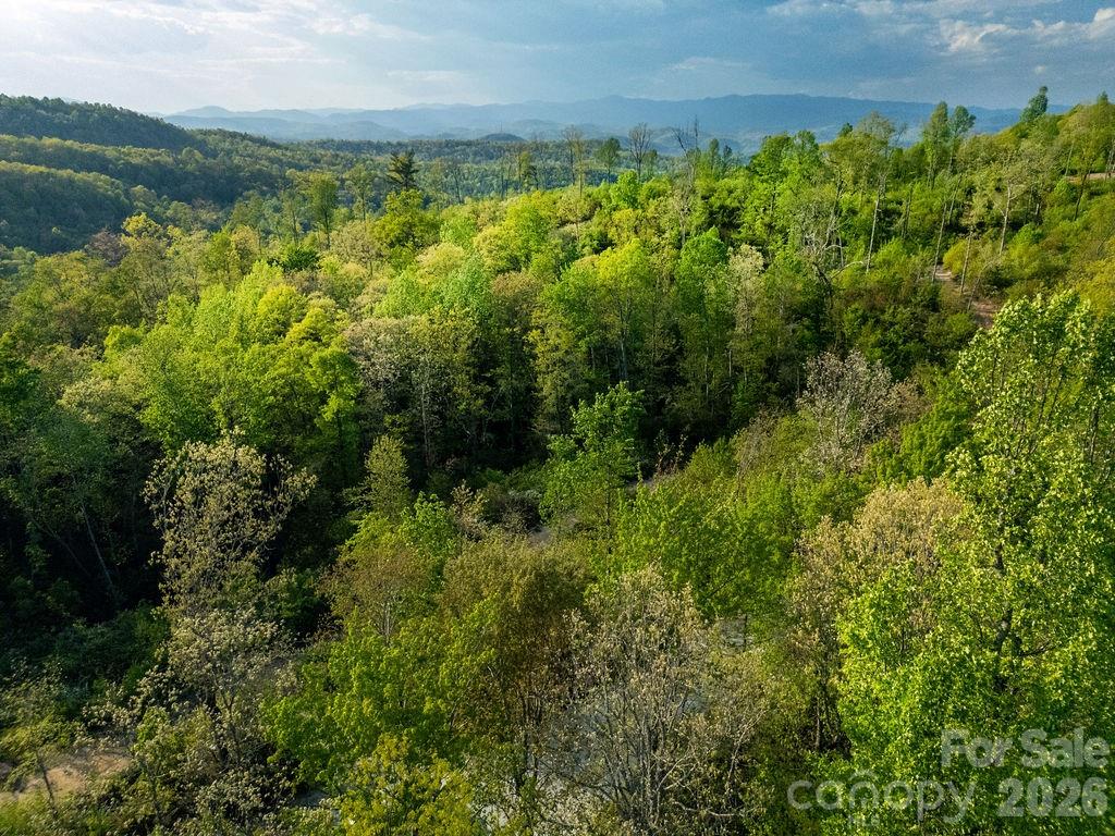 Eastatoe Gap - Land