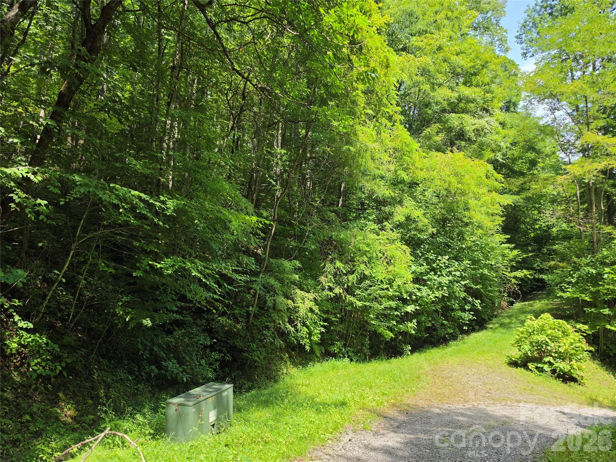 Lot 17 Cocker Spaniel Court Unit 17, Whittier, NC, 28789