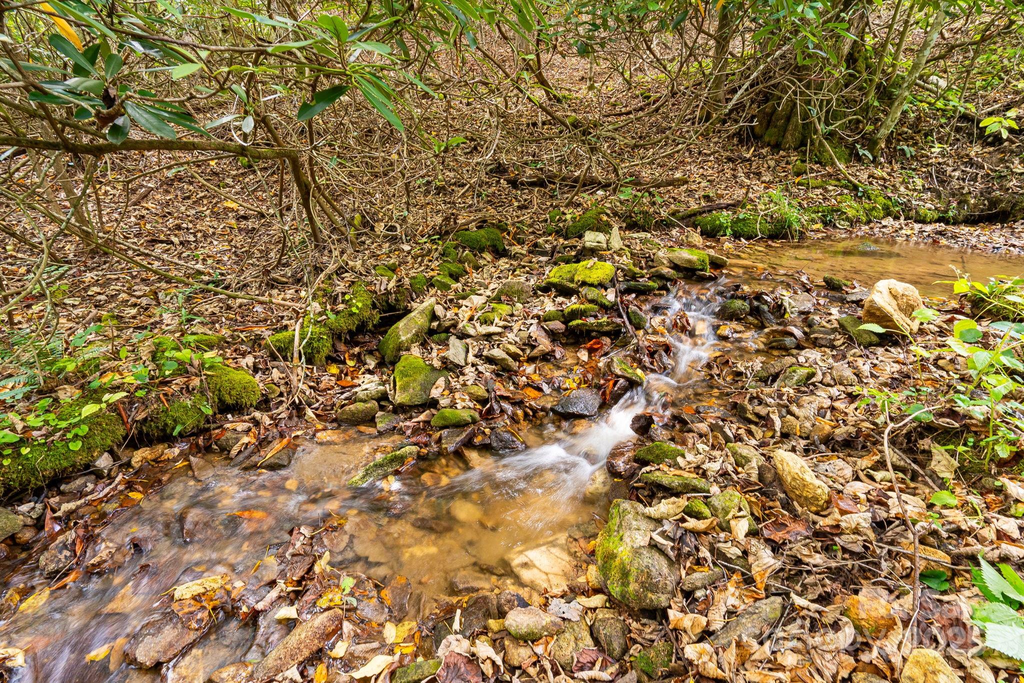Wolf Laurel - Residential