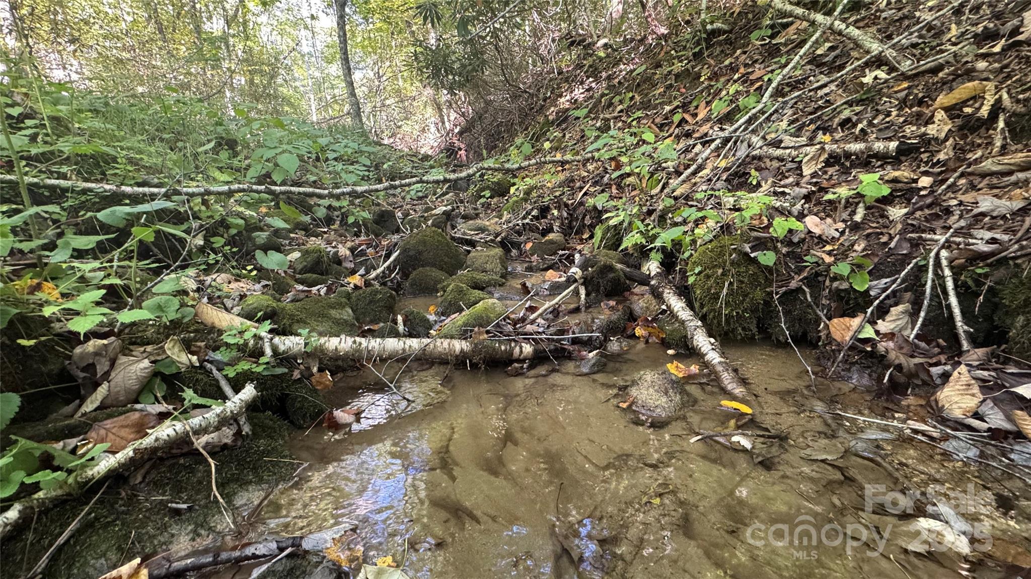 Wolf Laurel - Residential