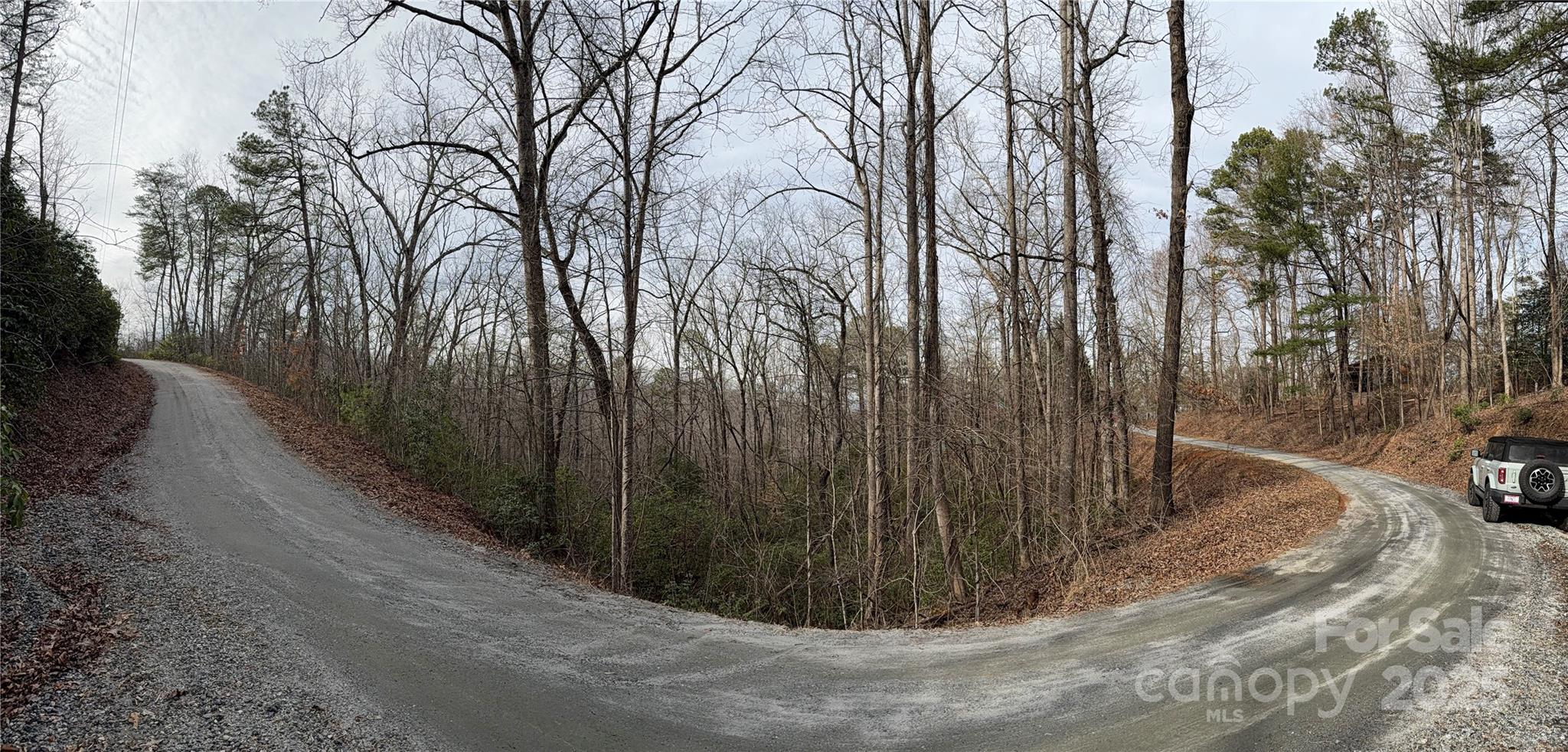 0 Wolf Trail
