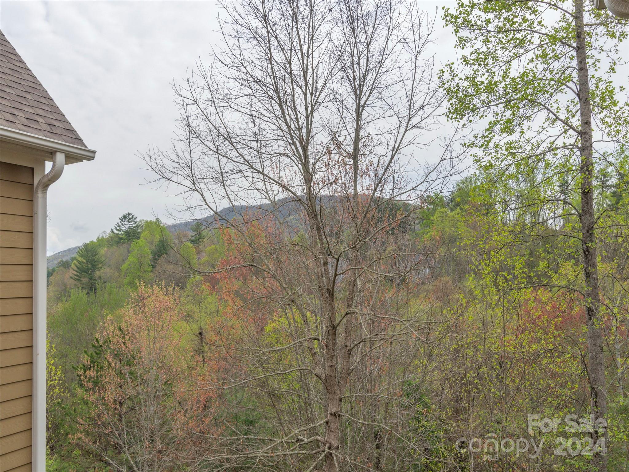 Biltmore Lake - Residential