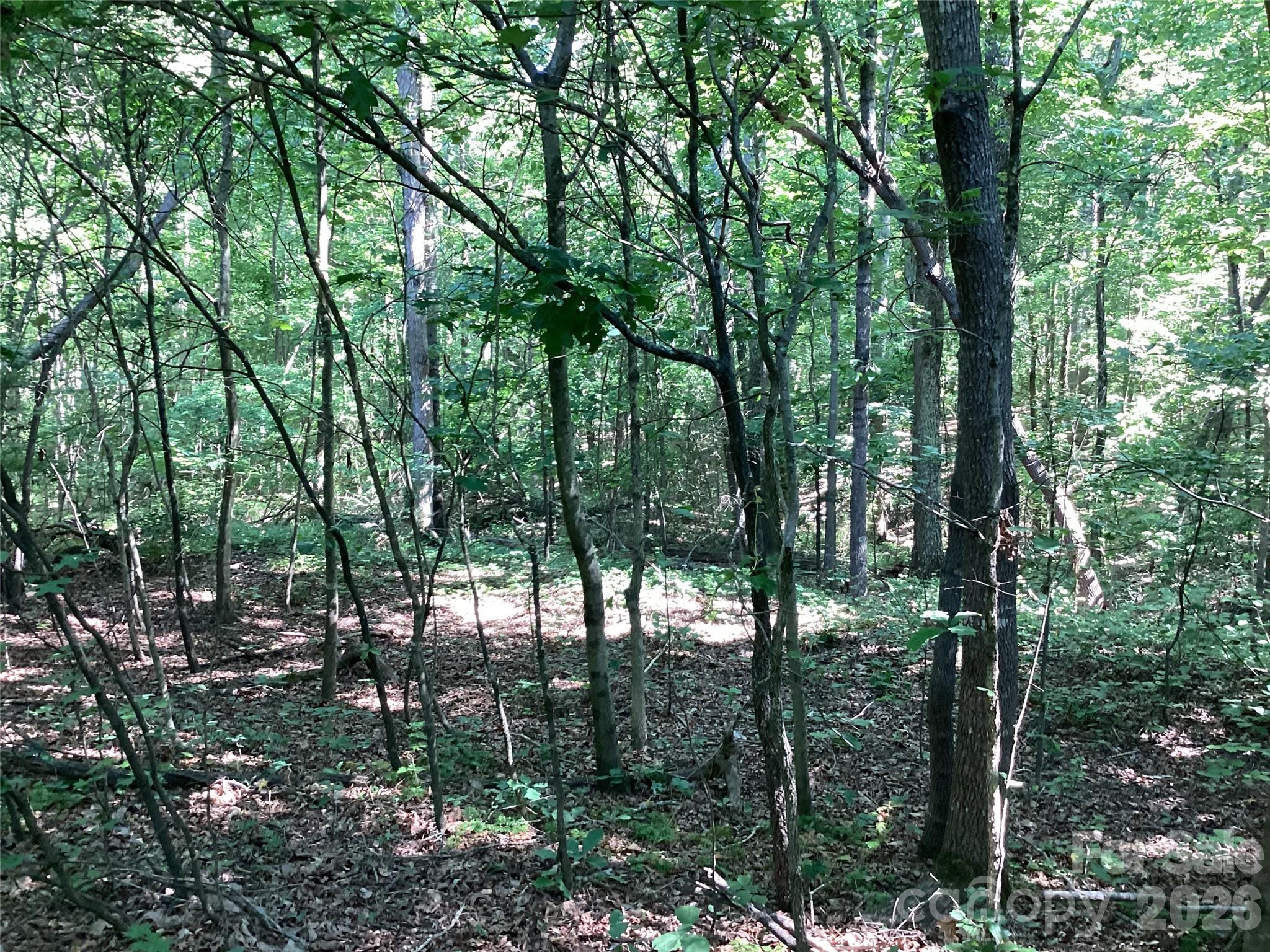 2870 Dunns Mountain Road