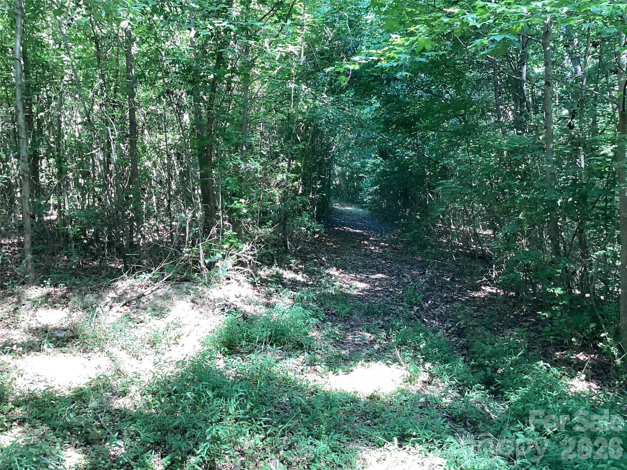 2870 Dunns Mountain Road