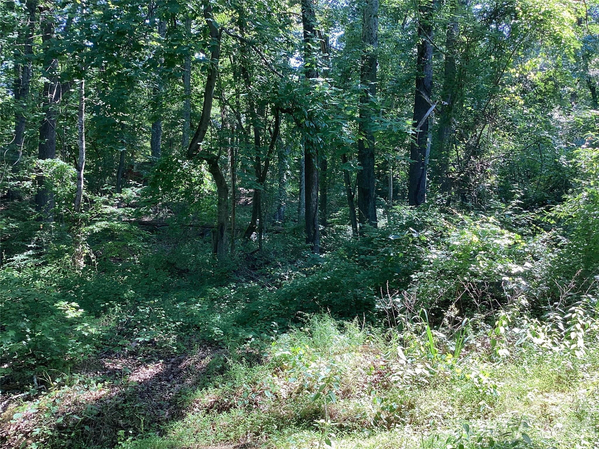 2870 Dunns Mountain Road