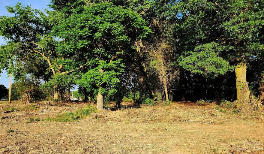 Estate sized lot, just under 5 acres, that is mostly open and some wooded area.  Bring the horses or farm animals and enjoy all that northeastern Union County can offer.  Site has completed full septic permitting for a 4 Bdr Pump to conventional septic system.  Partially wooded tract that has underground power run back about 450' off the road.  Situate a home behind the woods and gain privacy from the roadway.  New Survey, driveway connection to Hwy 218 is graded and installed with a shared concrete drive.  Union County water is on Hwy 218.  No HOA and HOA Dues. No permits to obtain, no utility company to chase down.  All done. There is a drilled well located on this parcel. Buyer to confirm quality and capacity of said well (irrigation/animal water supply).  Lot can allow for Additional Dwelling Unit (ADU) per Union County zoning and new septic permit rules effective 1/1/24.