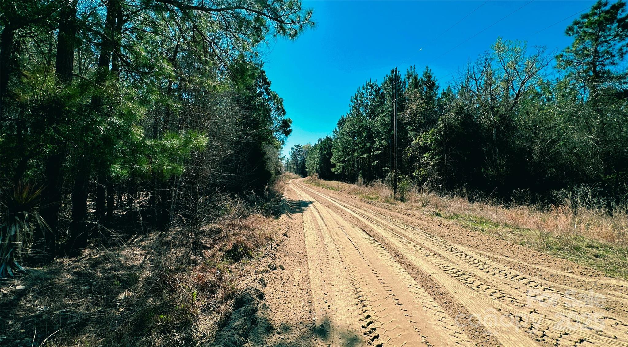 511 Moses Road