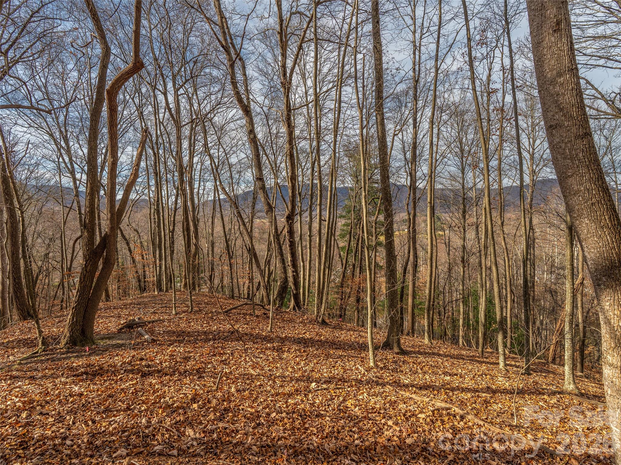 75 S Lindon Cove Road