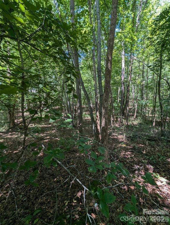 Lake Norman Woods - Land